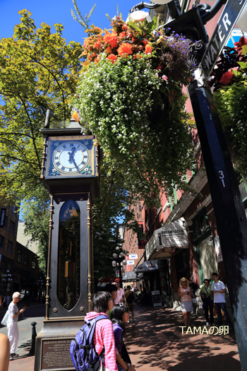 c0024729_2021135.jpg
