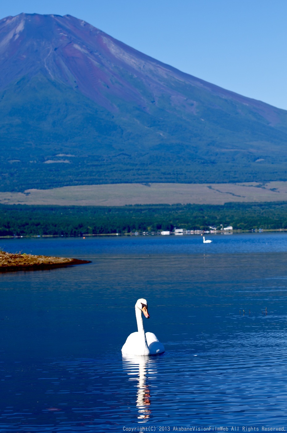 世界遺産　富士山_b0065730_187717.jpg