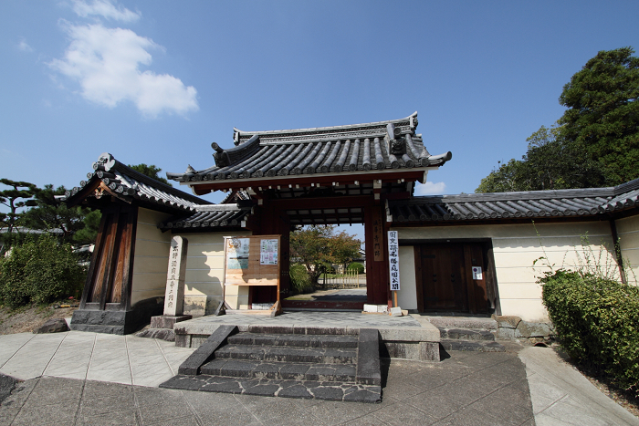 いにしえの奈良へ 法華寺 海龍王寺 不退寺 ｍｅｍｏｒｙ ｏｆ ｋｙｏｔｏｌｉｆｅ