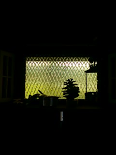 e0029132_0111415.jpg