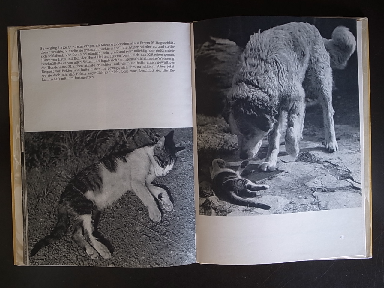 RAF Vaclav Jiru　バーツラフ・イーロ　猫　犬　写真集 RAF Vaclav Jiru バーツラフ・イーロ 猫 犬 写真集 RAF / Vaclav