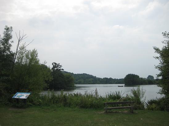 b0167736_5214769.jpg