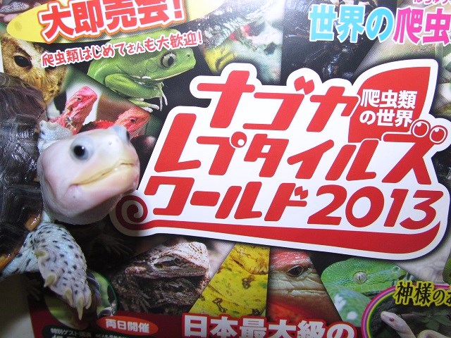 ☆ナゴヤレプタイルズワールド2013☆_b0174337_21291890.jpg