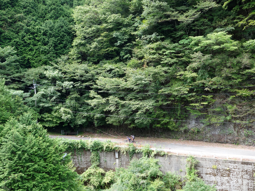 c0301238_913129.jpg