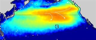福島県漁連 試験操業、今日再開 (2013.9.25)_c0024539_1754044.jpg