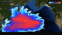 福島県漁連 試験操業、今日再開 (2013.9.25)_c0024539_1754622.png