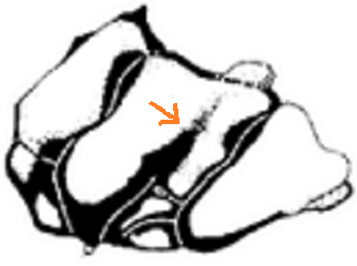 c0172139_1003825.png