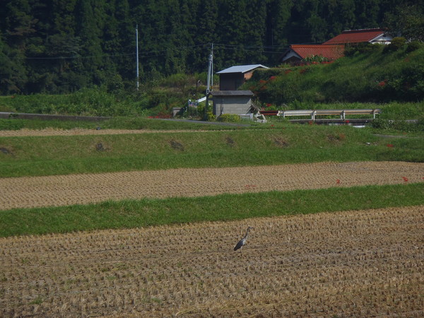 a0054240_0125467.jpg