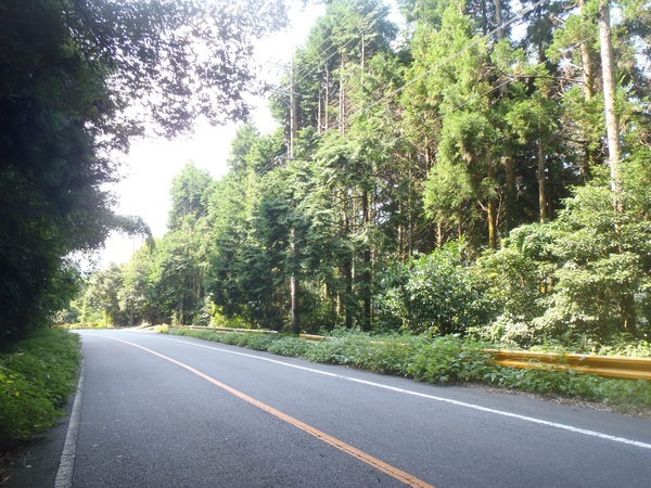 a0054240_017625.jpg