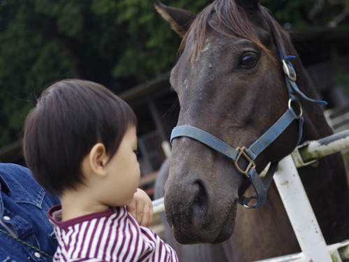 フレブル キャンプ ~キャンプアンドキャビンズ~_e0161547_234586.jpg