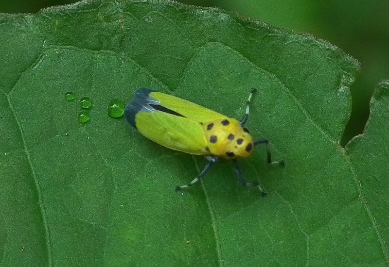 a0018655_19463057.jpg