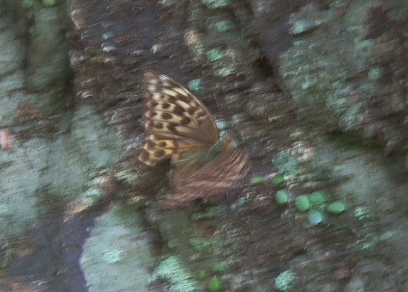 a0018655_1959958.jpg