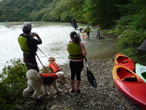 板室ダム湖　カヌー遊び_a0157156_2210541.jpg