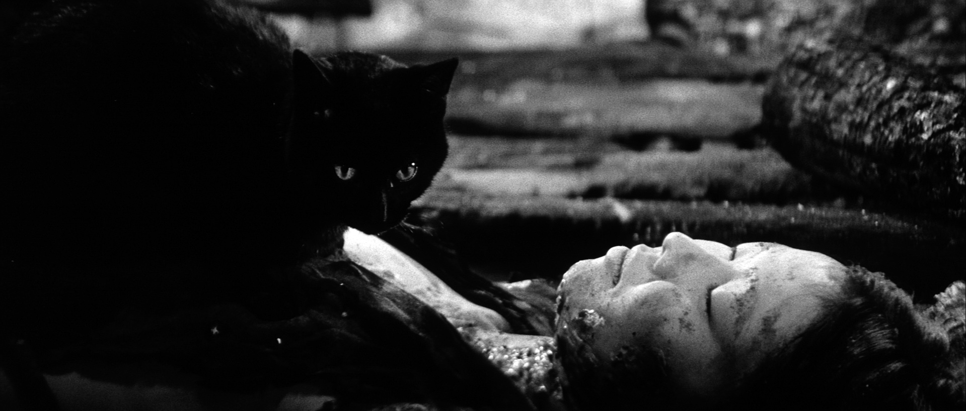 太地喜和子（たいち・きわこ）「藪の中の黒猫」（1968）・・・其の壱_e0042361_22183453.jpg