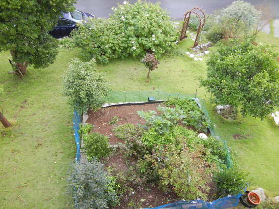 ’13,9,25(水)秋雨って長いのよね~!_f0060461_10502676.jpg