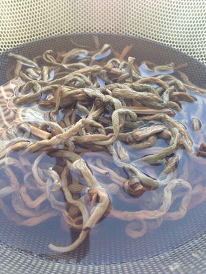 *9月長月京料理・おばんざいクラス…②*_e0326573_10315398.jpg