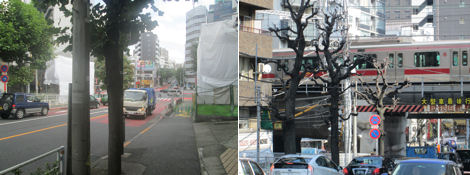 渋谷駅周辺の再開発_d0183174_19445614.jpg