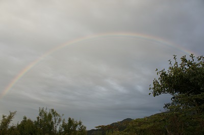 d0179679_20193967.jpg