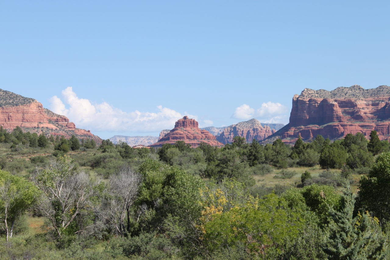 b0177792_1248958.jpg