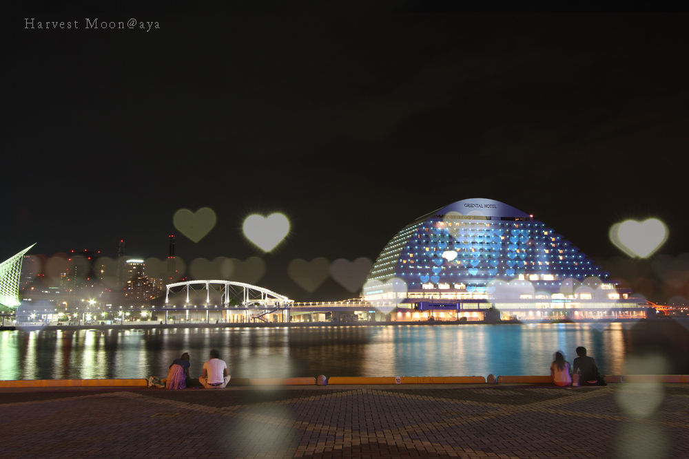 Heart_b0208495_2111069.jpg