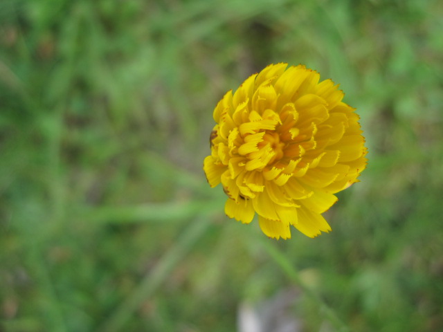 b0249296_1033030.jpg