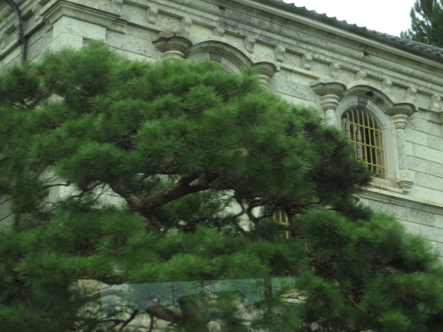 a0193698_20222334.jpg