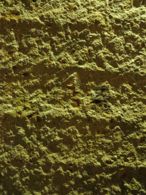 a0193698_2065163.jpg