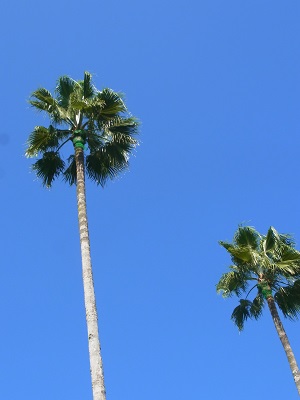 b0067598_21422226.jpg