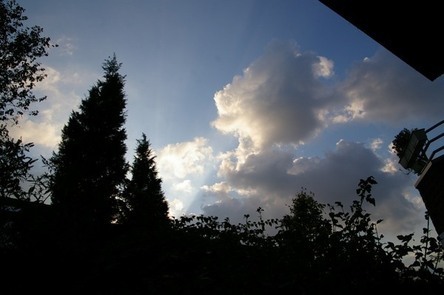 b0303200_85245.jpg