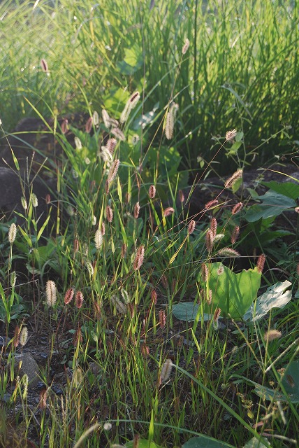c0124100_22175029.jpg