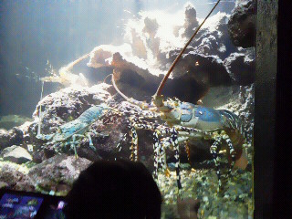 c0272200_143993.jpg