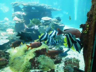 c0272200_14434085.jpg