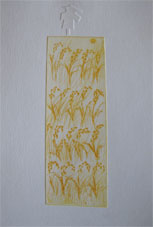 今日から t-aqua〈かとうたかあき〉銅版画展_c0218903_8404488.jpg