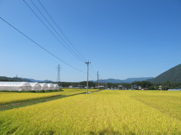 季節を感じて生きる事_b0152504_22492737.jpg