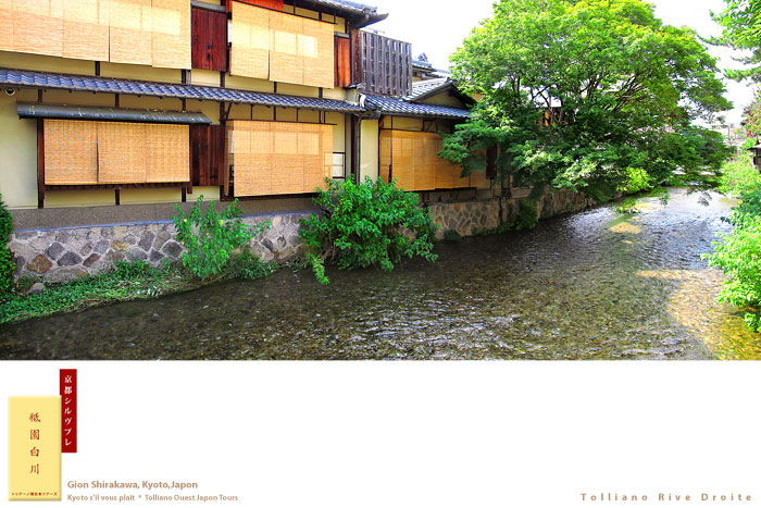 京都シルヴプレ172 祇園白川の蒼鷺さん_f0038408_16452053.jpg