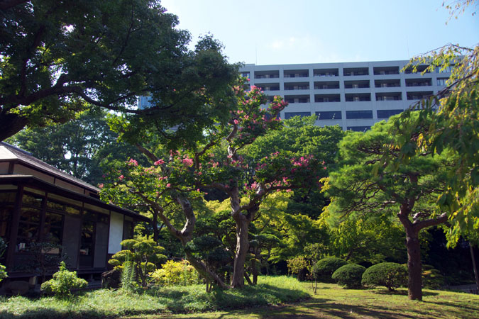 小石川後楽園の彼岸花1_a0263109_9584250.jpg