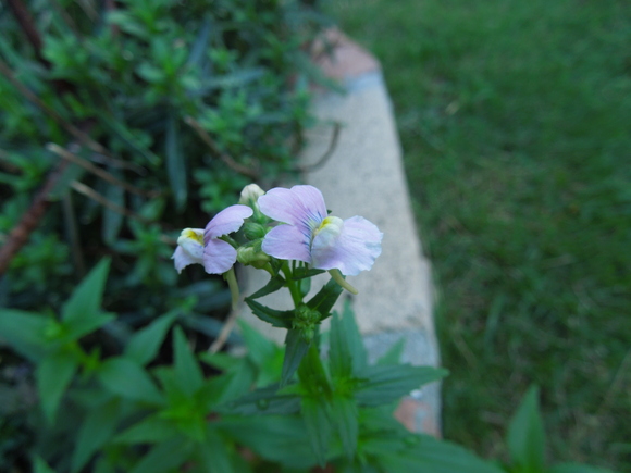 f0297809_0254073.jpg