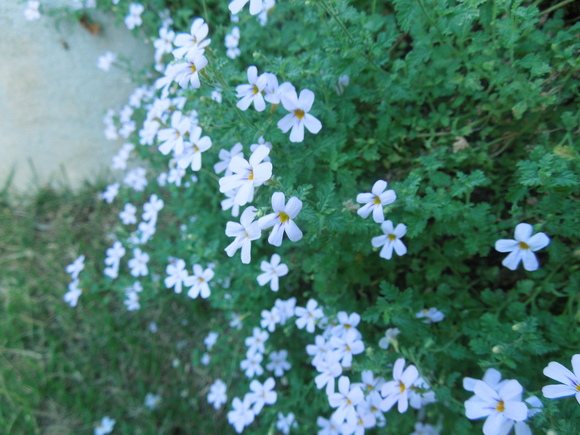 f0297809_0273815.jpg