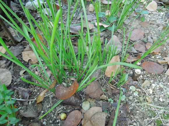f0297809_031270.jpg