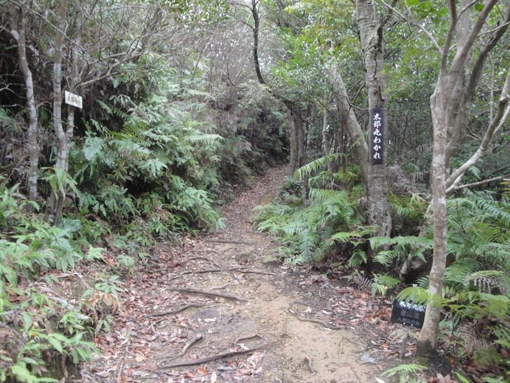 b0291016_19452249.jpg