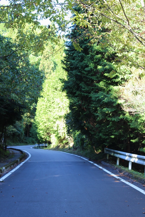 山の上の学校で_b0220318_2124384.jpg