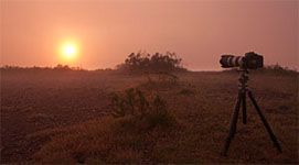 a0282620_2292976.jpg