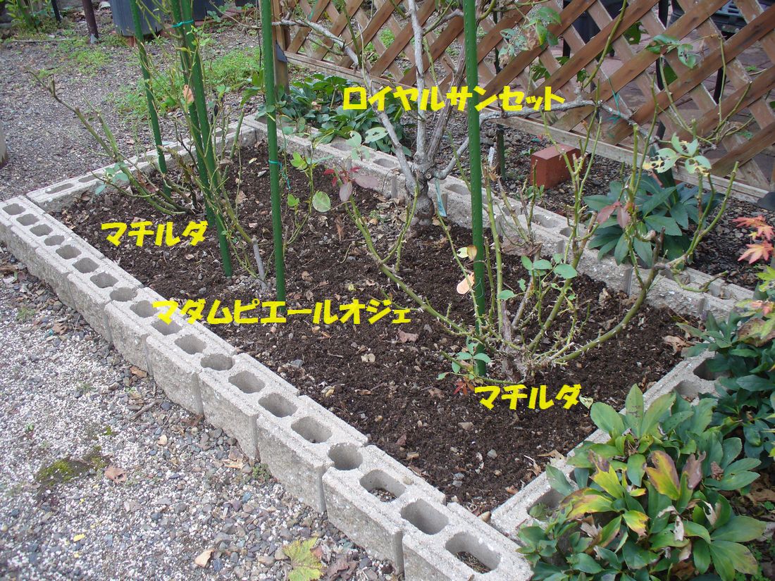 f0275632_22362691.jpg