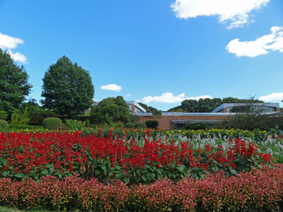 福岡市動・植物園　2013年9月26日_a0129233_20403078.jpg