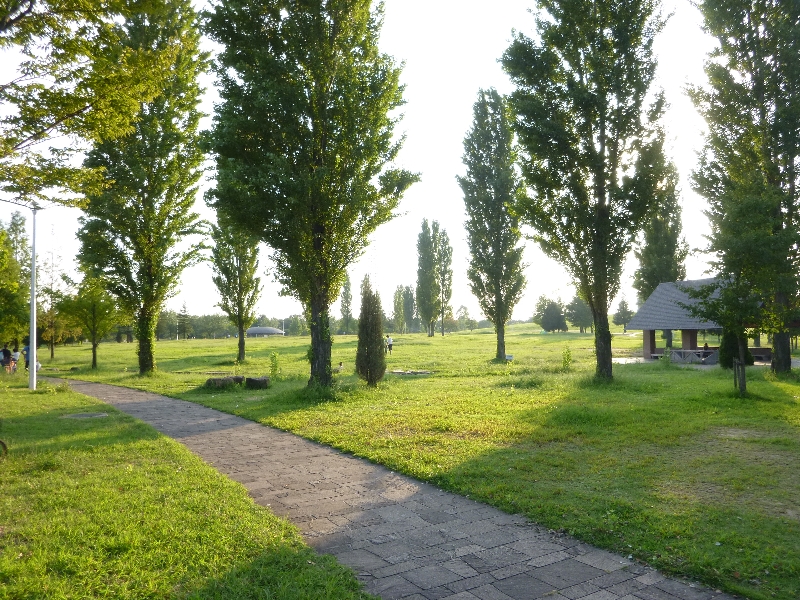 c0113733_150215.jpg
