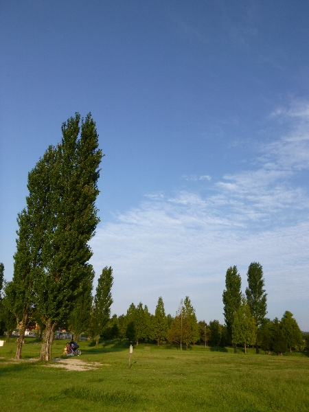 c0113733_1503921.jpg