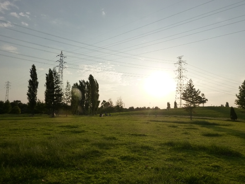c0113733_1504743.jpg