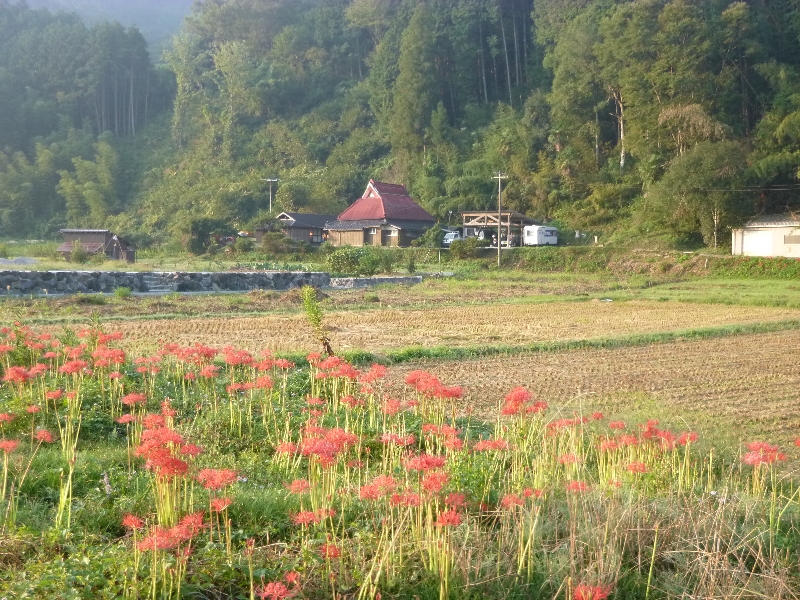 c0113733_263467.jpg