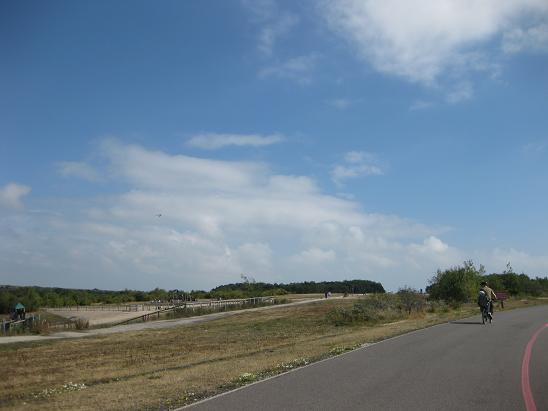 b0167736_645917.jpg