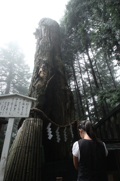 ダメだし写真館 その6_e0227942_23234512.jpg